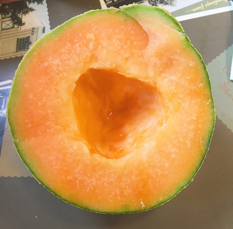 FullSizeRender 82